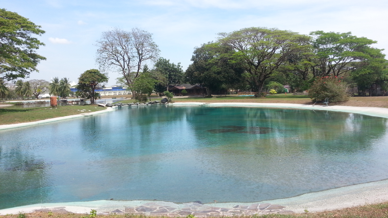 Family Swimming Pool